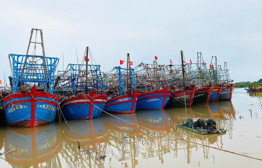 Toàn tỉnh Thanh Hóa có 6.566 phương tiện với 21.868 lao động đã neo đậu, tránh trú bão an toàn tại bến.