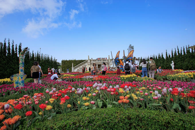 Lễ hội hoa với hơn 1 triệu bông tulip tại Bà Nà Hills.