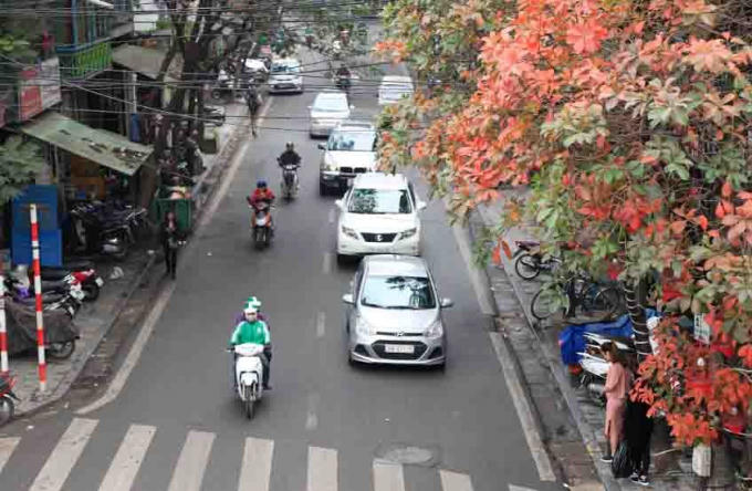 Hà Nội những ngày đầu xuân, từng cung đường, cây xanh đang vào độ thay lá, sắc đỏ, vàng, xanh hoà quyện trên nhánh lộc vừng, bồ đề, xà cừ, bàng.