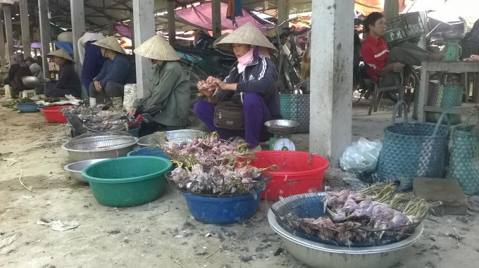 Chim cò bày bán tràn lan. Ảnh Duy Ngợi