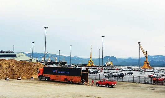 Bãi tập kết xe ô tô nhập khẩu liền kề với bãi để dăm gỗ.