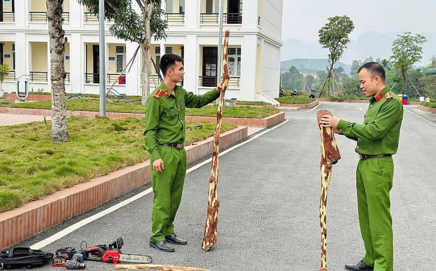 Hiện trường vụ 2 đối tượng trộm 6 cây gỗ sưa của người dân. (Ảnh: Báo Lạng Sơn).