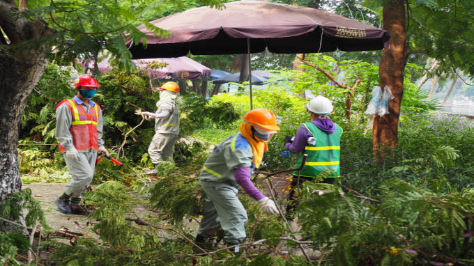 Trong buổi sáng ngày hôm nay có khoảng hơn chục nhân viên thực hiện việc cắt, tỉa và vận chuyển cây xanh.