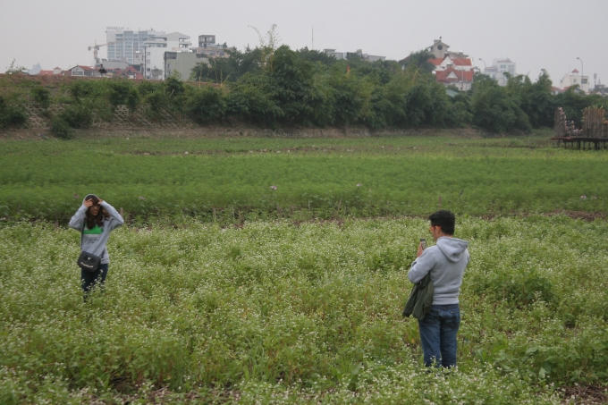 Muôn kiểu dẫm đạp lên hoa để chụp ảnh
