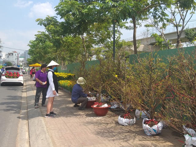 Phố hoa ở Thảo Điền - TPHCM