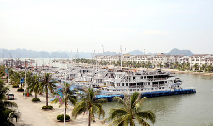 Cảng t&agrave;u Quốc tế Tuần Ch&acirc;u nơi xảy ra sự việc.