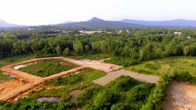 Những mảnh cây xanh bị chặt hạ để phân lô.