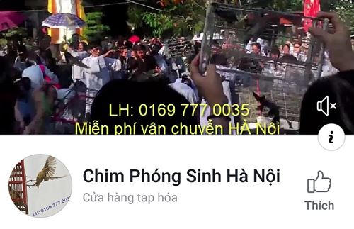 Chim ph&oacute;ng sinh b&acirc;y giờ được rao b&aacute;n tr&ecirc;n mạng.