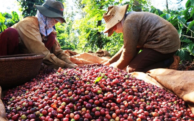 Xuất siêu của Việt Nam khởi sắc