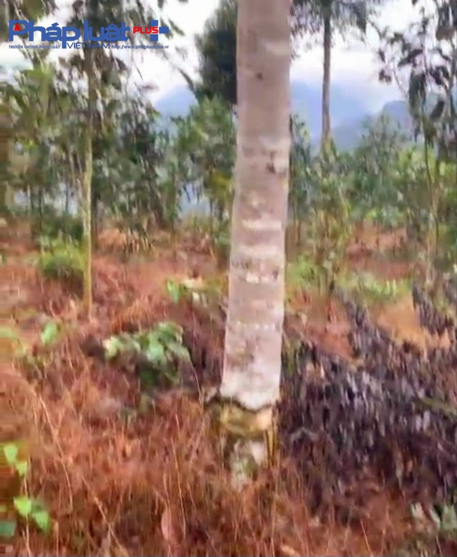 z3900310324698_c35a5b7319816b4bbeda64c926c0b507