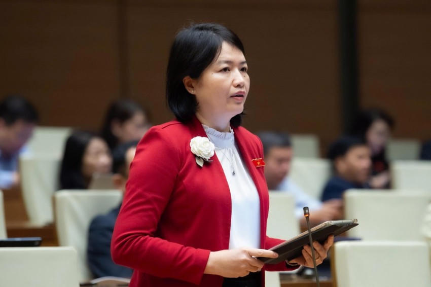 Đại biểu Nguyễn Thị Mai Thoa, đoàn ĐBQH thành phố Hải Phòng