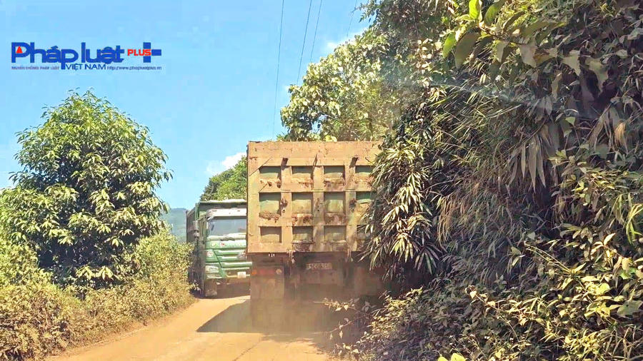 z4778516744269_5d5f2893e3b277af9a867863290ecf38