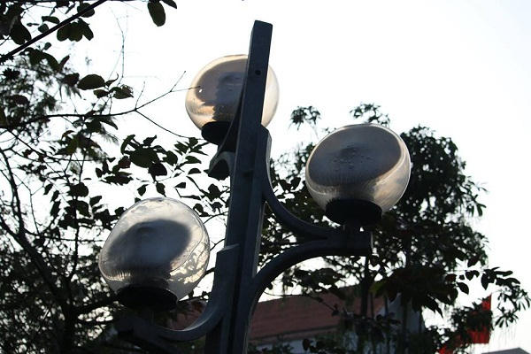 Nhiều cây cối điện xung quanh khu nhà kho đã bị cháy rụi.