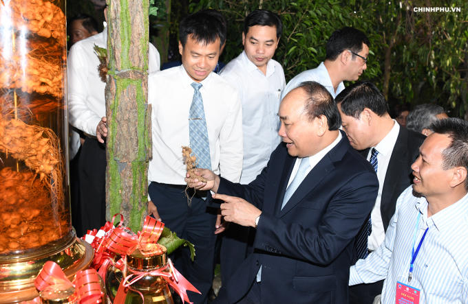 Thủ tướng dự Hội nghị đầu tư ph&aacute;t triển S&acirc;m Ngọc Linh v&agrave; c&aacute;c dược liệu kh&aacute;c