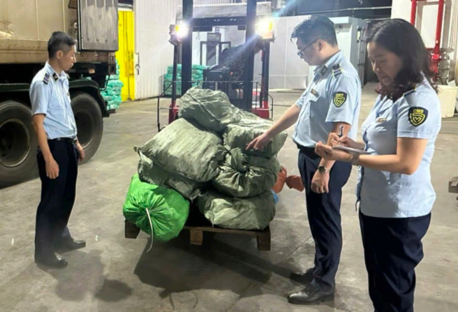 Đoàn kiểm tra Đội Quản lý thị trường số 1 tiến hành kiểm đếm tang vật vi phạm (Ảnh: Chi Cục Quản lý thị trường tỉnh Quảng Ninh cung cấp).