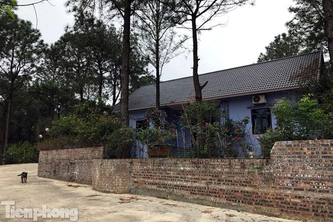 Biệt thự 'khủng' t&agrave;n ph&aacute; rừng S&oacute;c Sơn vẫn bất động sau kết luận thanh tra