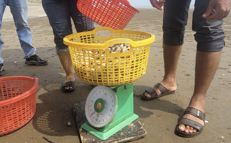 Nghêu ở biển Tân Thành nổi tiếng thơm ngon. Giá bán nghêu có sẵn sẽ từ 35 đến 45 nghìn đồng/ký. Nếu tự khai thác sẽ được mua lại với giá từ 30 đến 35 nghìn đồng/ký. Khi có nhu cầu thưởng thức hải sản, chủ bãi sẽ chế biến, phục vụ khách các món ăn đơn giản từ những con nghêu sống do chính du khách bắt được.