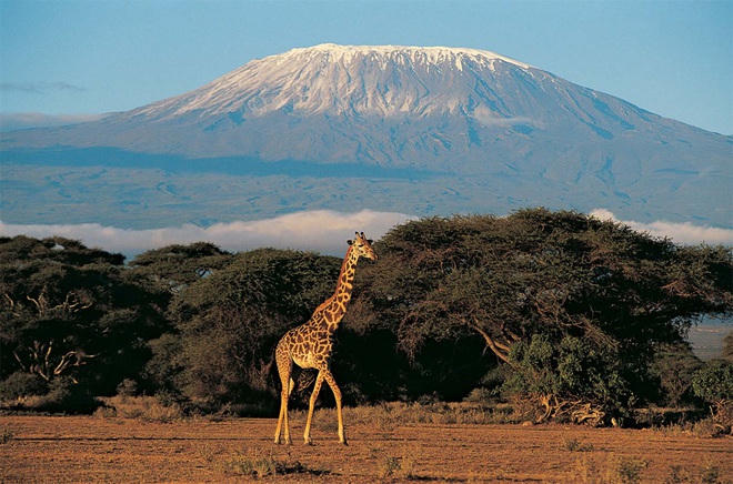 Kilimanjaro là một ngọn núi lửa không hoạt động ở Tanzania. Đây là ngọn núi cao nhất ở Châu Phi và là ngọn núi độc lập cao nhất thế giới: 5895 m so với mực nước biển. Kilimanjaro là một phần của công viên quốc gia Kilimanjaro và là một điểm leo núi rất nổi tiếng trên thế giới.