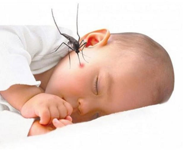 Sốt xuất huyết đang diễn biến rất phức tạp, nguy cơ biến chứng và tỷ lệ tử vong cao.