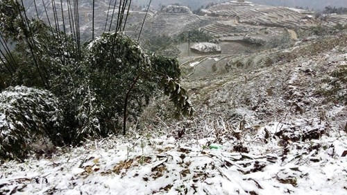 Ngày 24/1 băng tuyết rơi dày đặc tại Sapa, Mẫu Sơn, Ba Vì, Tam Đảo....