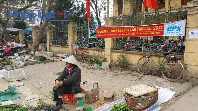 Ngùn ngụt kéo nhau đi xem hội chọi trâu không phép tại Yên Bái