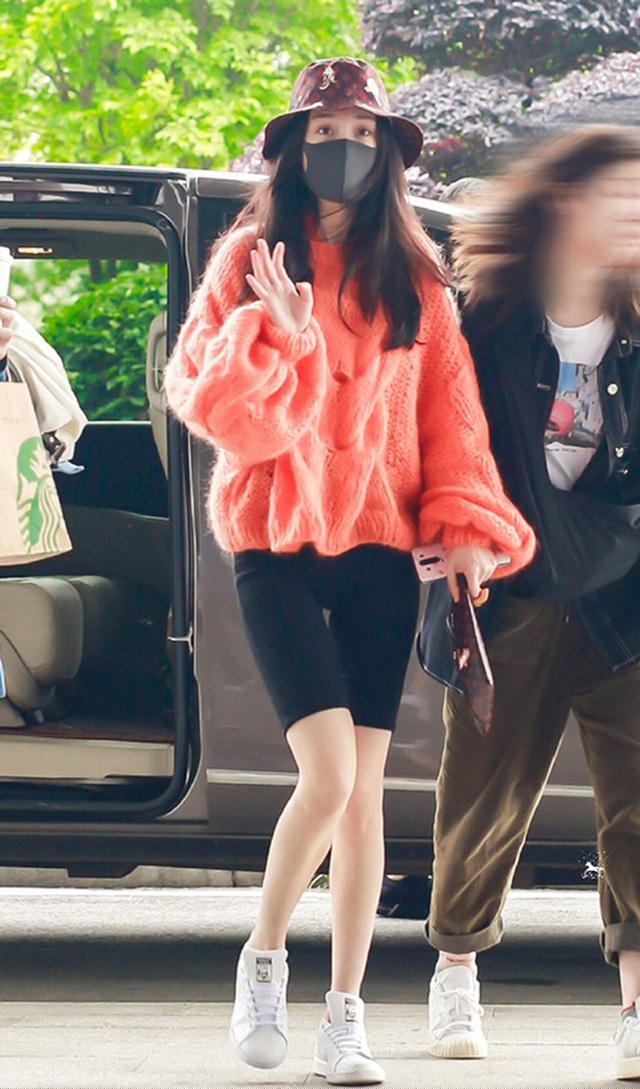 Dương Mịch từng