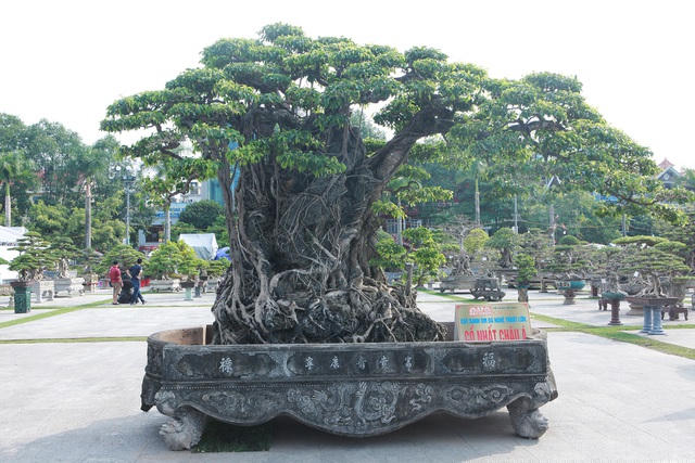 Nói về tác phẩm, giáo sư, tiến sĩ Trần Duy Quý - Phó chủ tịch Hội sinh vật cảnh Hà Nội cho biết, đây là tác phẩm rất quý đất Hà thành, nó mang trong mình dấu ấn lịch sử. Tác phẩm thực sự vô giá, bỏ ra một triệu đô la Mỹ chưa chắc đã sở hữu được