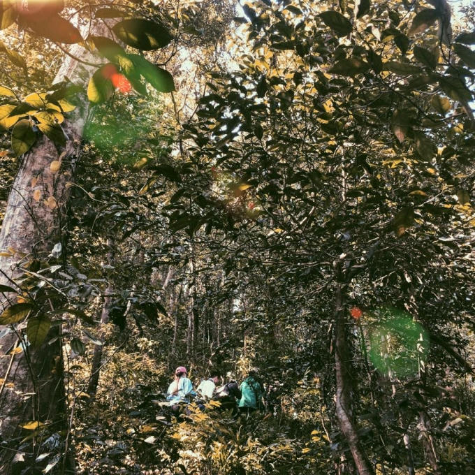 Khu vực Đoòng thuộc vùng lõi Vườn quốc gia là nơi có hệ sinh thái đa dạng sinh học bậc nhất của Vườn.