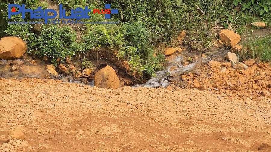 z4217166749995_3d43b9476795ee1ca162d910045747bc