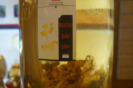 Choáng với 2 bình sâm Ngọc Linh quý giá hơn 15 cây vàng ở xứ Quảng