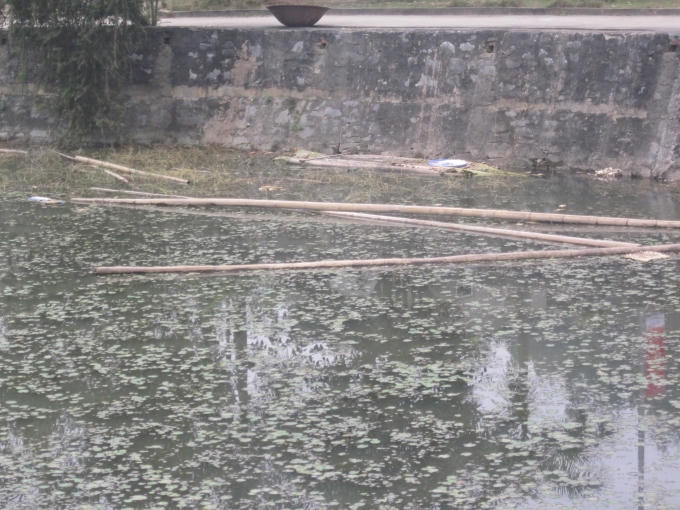 Rác và tre luồng.