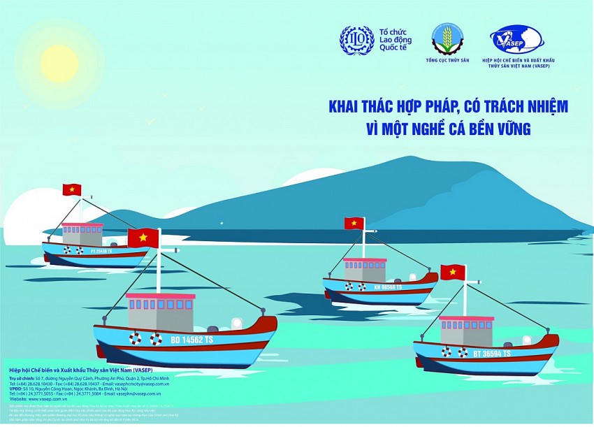 Các địa phương chưa hoàn thành xử lý tàu cá "03 không" phải hoàn thành xử lý dứt điểm.