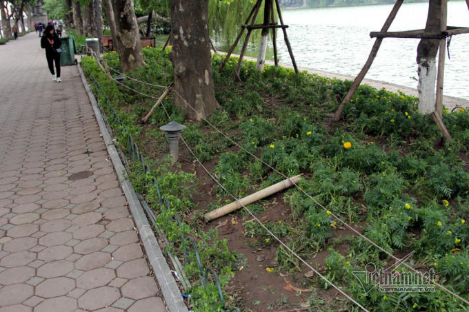 Sửng sốt với d&ograve;ng người t&agrave;n ph&aacute; vườn hoa hồ Gươm đ&ecirc;m giao thừa