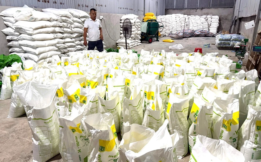 Khu vực phía trong nhà xưởng