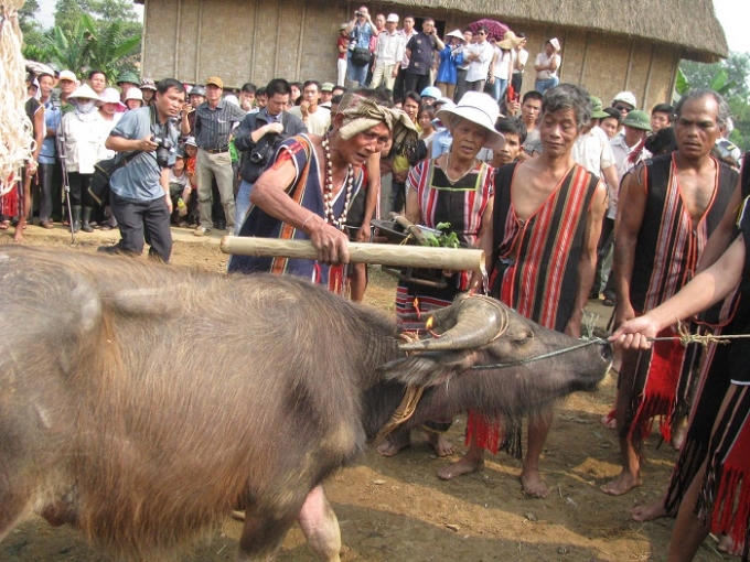 Du khách sẽ có cơ hội đắm mình vào không khí lễ hội văn hóa và trải nghiệm một không gian Tây Nguyên đại ngàn hũng vĩ ngay giữa lòng Hà Nội.