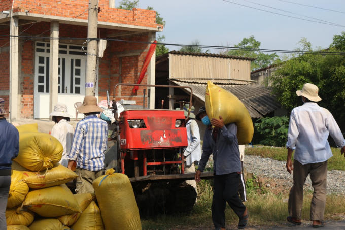 Vụ mùa năm nay trở thành một mùa thu hoạch đáng nhớ, lực lượng thu hoạch lúa, nhân công bốc xếp và thương lái đều phải thực hiện test nhanh trước khi ra đồng và không tụ tập đông người. Địa phương cấp giấy đi đường có thời gian cho lực lượng thu hoạch lúa.