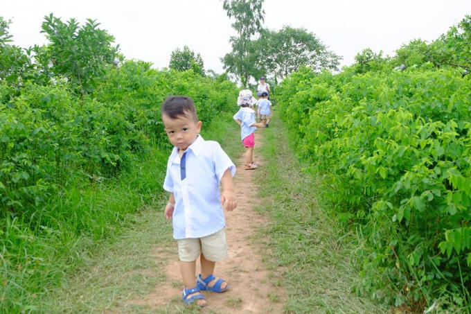 Trang trại đã đón không ít những bạn nhỏ về đây khám phá thiên nhiên.