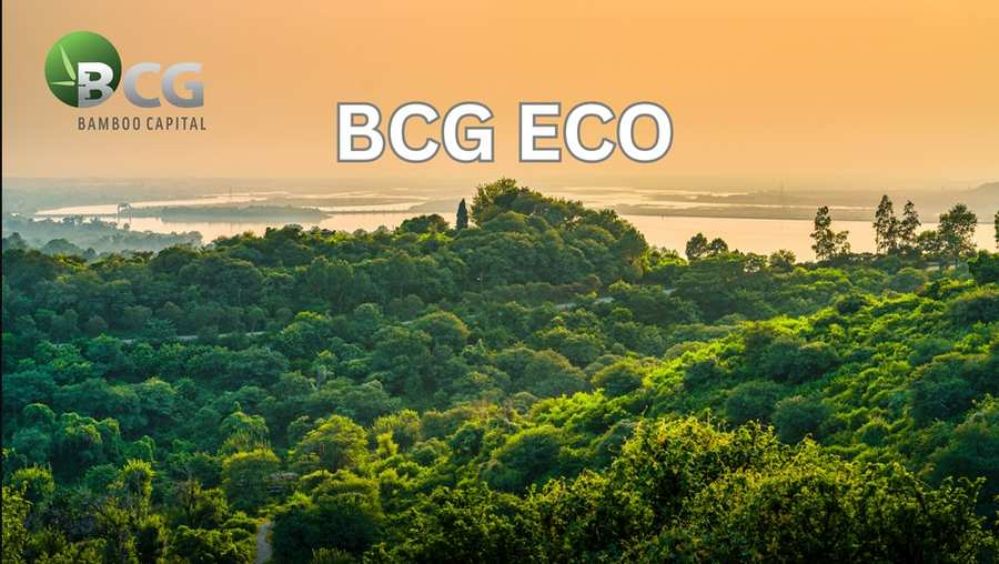 Ảnh minh họa. Nguồn: BCG