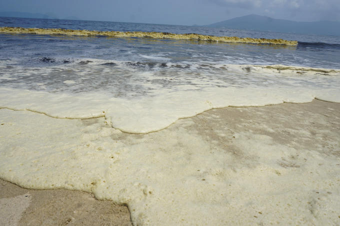 Ngư dân sống khu vực Nam Ô cho biết, lần đầu tiên thấy hiện tượng lạ như thế, trước giờ chưa có”.