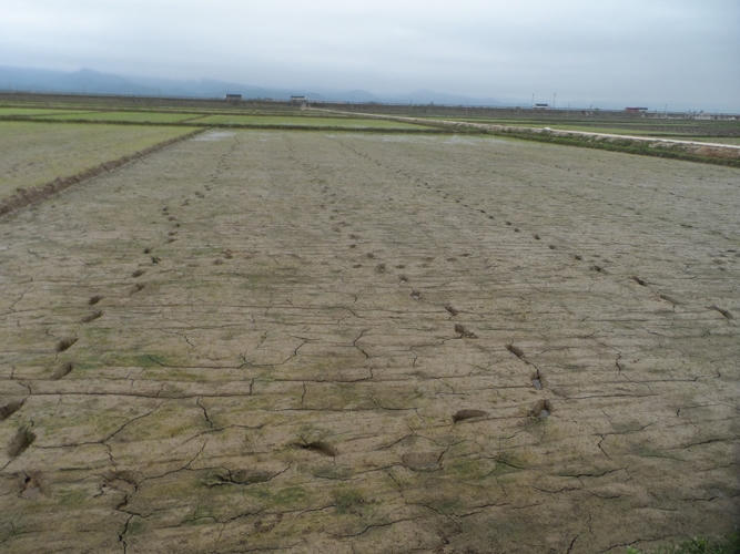 Việc dồn điền đổi thửa khiến diện t&iacute;ch ruộng lớn bề mặt cải tạo kh&ocirc;ng tốt tr&igrave;nh độ th&acirc;m canh kh&ocirc;ng đồng đều.