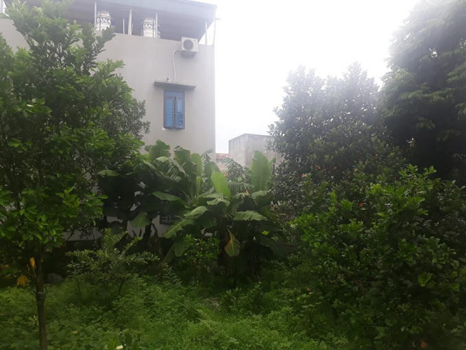 Các hộ cũng tự ý xây tường bao lấn chiếm đất.