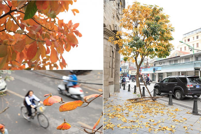 Một Hà Nội dịu dàng. Một Hà Nội thơ mộng. Một Hà Nội... trong lòng ta.