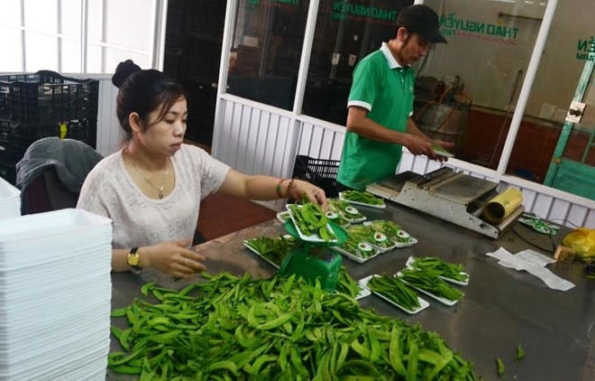 Hiện tại, rất ít sản phẩm nông nghiệp của Đà Lạt được được gắn nhãn mác trước khi xuất bán. Ảnh: Thạch Thảo