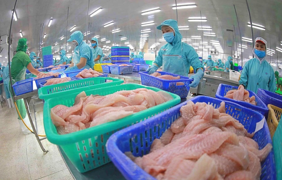 Lần đầu tiên Việt Nam vươn lên vị trí đối tác xuất khẩu thuỷ sản lớn thứ 3 vào Singapore. (Ảnh minh họa: Vinhhoan)