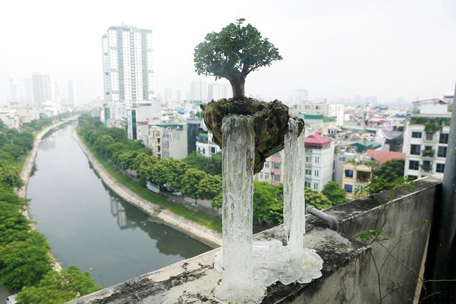 Mẫu “đảo bay” lần đầu tiên xuất hiện ở Hà Nội có giá 1,6 triệu đồng