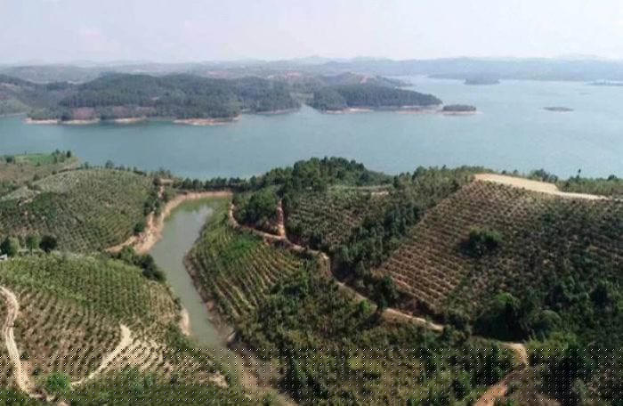 Dự án Sài Gòn - Đại Ninh (ảnh minh họa)