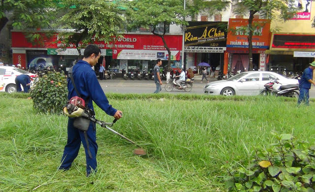 Công nhân cắt cỏ dại cao ngập gối trên đường Trần Duy Hưng...