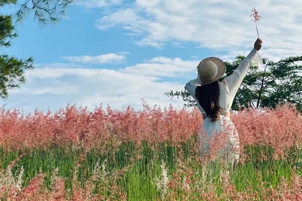 Du khách chụp ảnh tại đồi cỏ hồng.