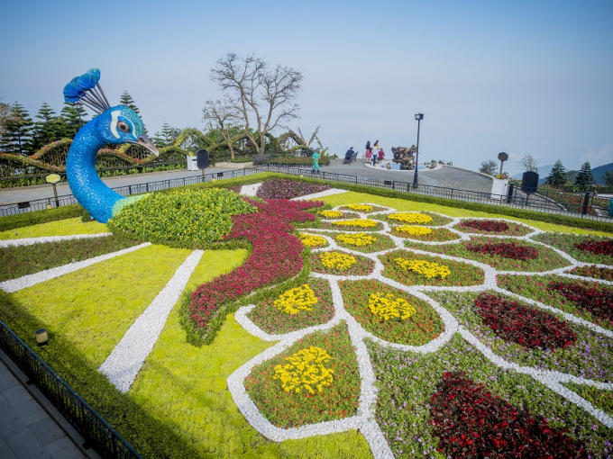 Chuẩn bị cho Lễ hội hoa tulip lớn nhất Việt Nam sẽ được chính thức khai trương vào ngày 14/2 tới, thời gian này, Khu du lịch đã ráo riết chuẩn bị, trang trí cho khu vực Làng Pháp bằng hàng ngàn chậu hoa tulip đủ sắc màu.