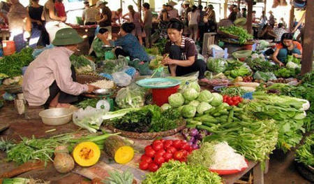Nhiệt độ càng giảm giá rau xanh càng tăng.